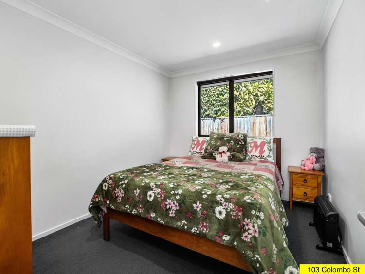 103 Colombo Street Somerfield_9