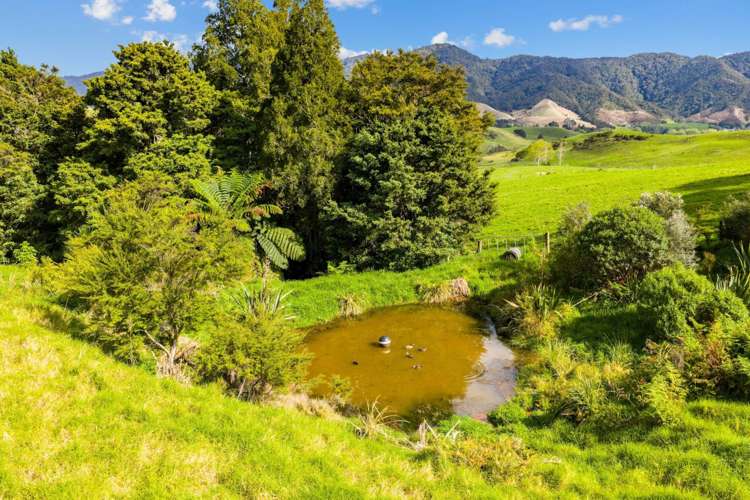 250 Brooks Road Waipu_24