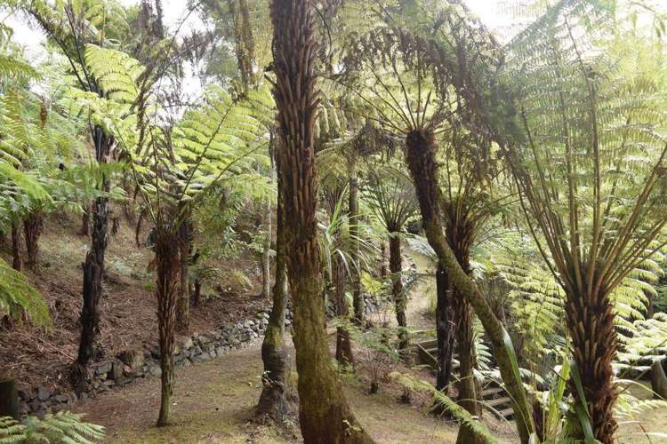 Address withheld Haruru_16