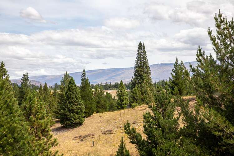 160A Letts Gully Road Alexandra_28