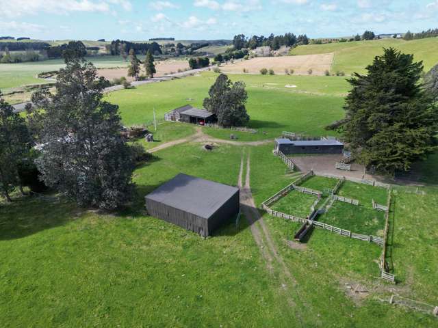 623 Palmerston-Waikouaiti Road Goodwood Palmerston_4