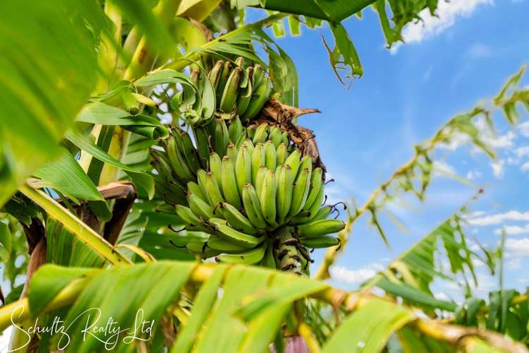 9 Whaka Street Raumanga_8