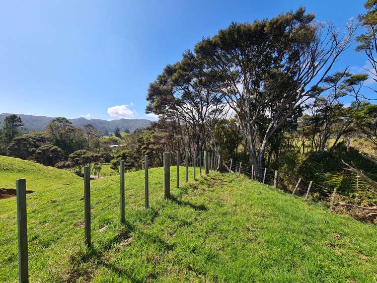 110 Wood Road, Colville Coromandel_6