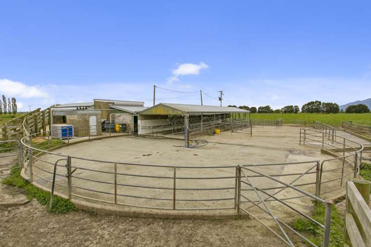 290 Waghorn Road Wardville_9