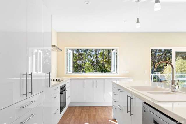 38a Elizabeth Street Tuakau_2