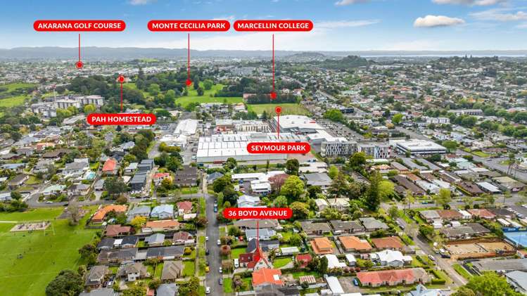 36 Boyd Avenue Royal Oak_28