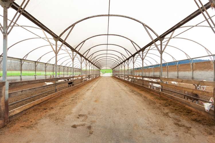 224 Herbert Road Morrinsville_11