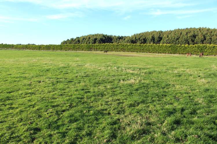 270 Roslyn Road Roslyn Bush_9