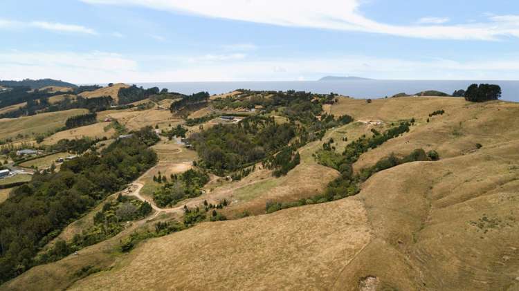 166c Heard Road Waihi_6