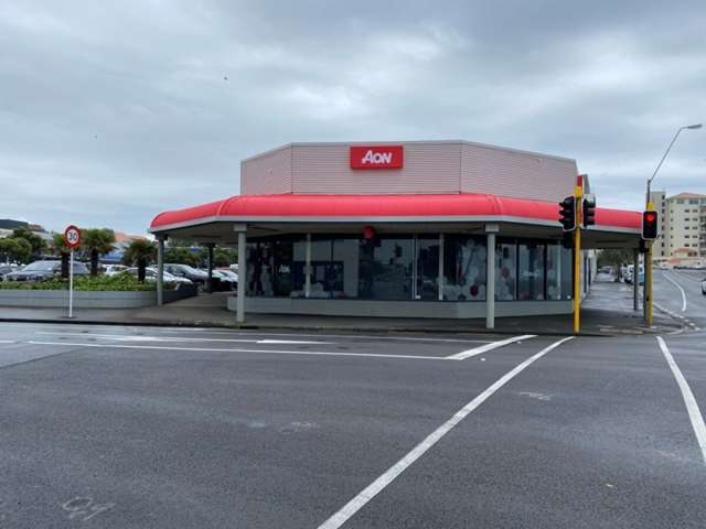 8 Egmont Street New Plymouth_4
