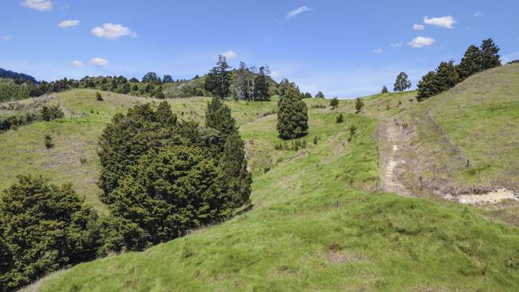 661a Omaunu Road Kaeo_11