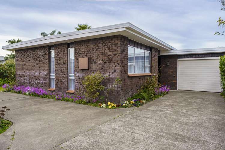 57A Avenue Road Greenmeadows_12