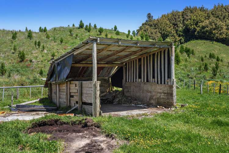 414 Matahi Road Whakatane Surrounds_18