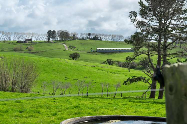 450 Neems Road Matakohe_12