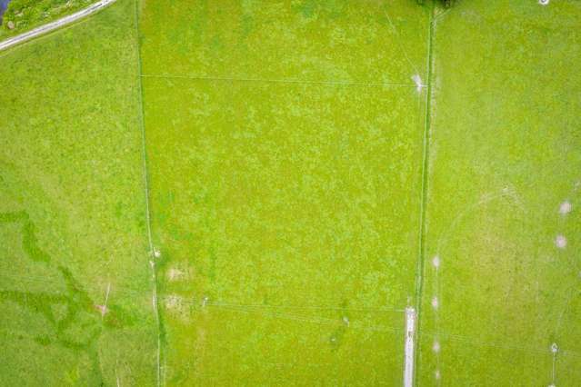 331 West Coast Road Makarau_1