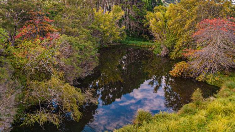 970 Tora Road Martinborough_18