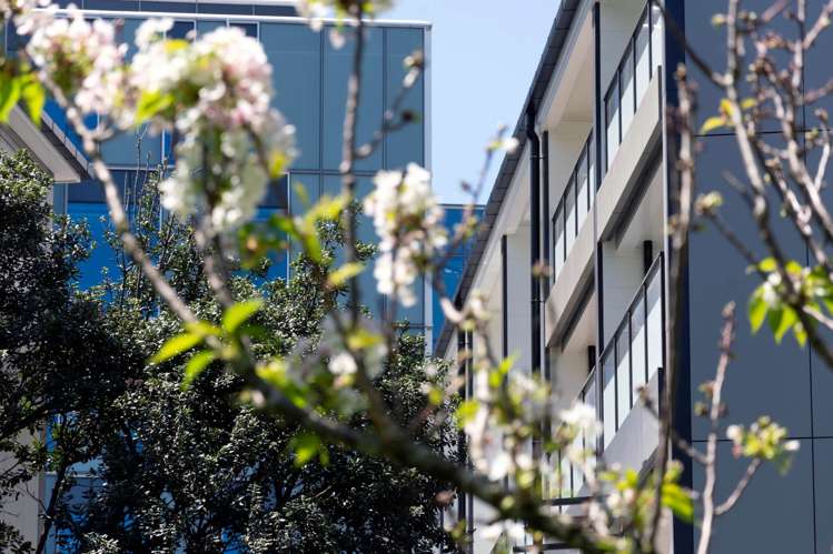 5/8 Dock Street Freemans Bay_15