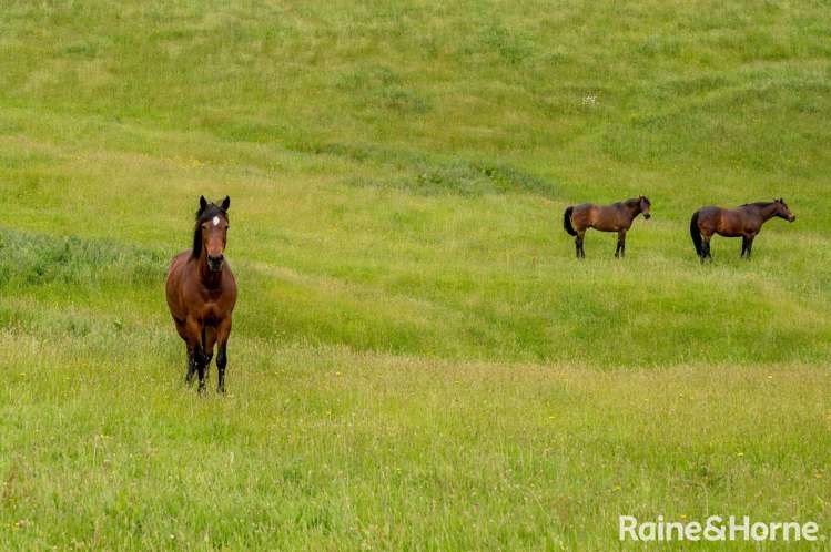 262 Tuhingamata Road Oruanui_12