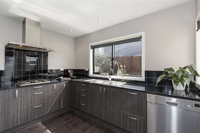 11a Astley Avenue New Lynn_4