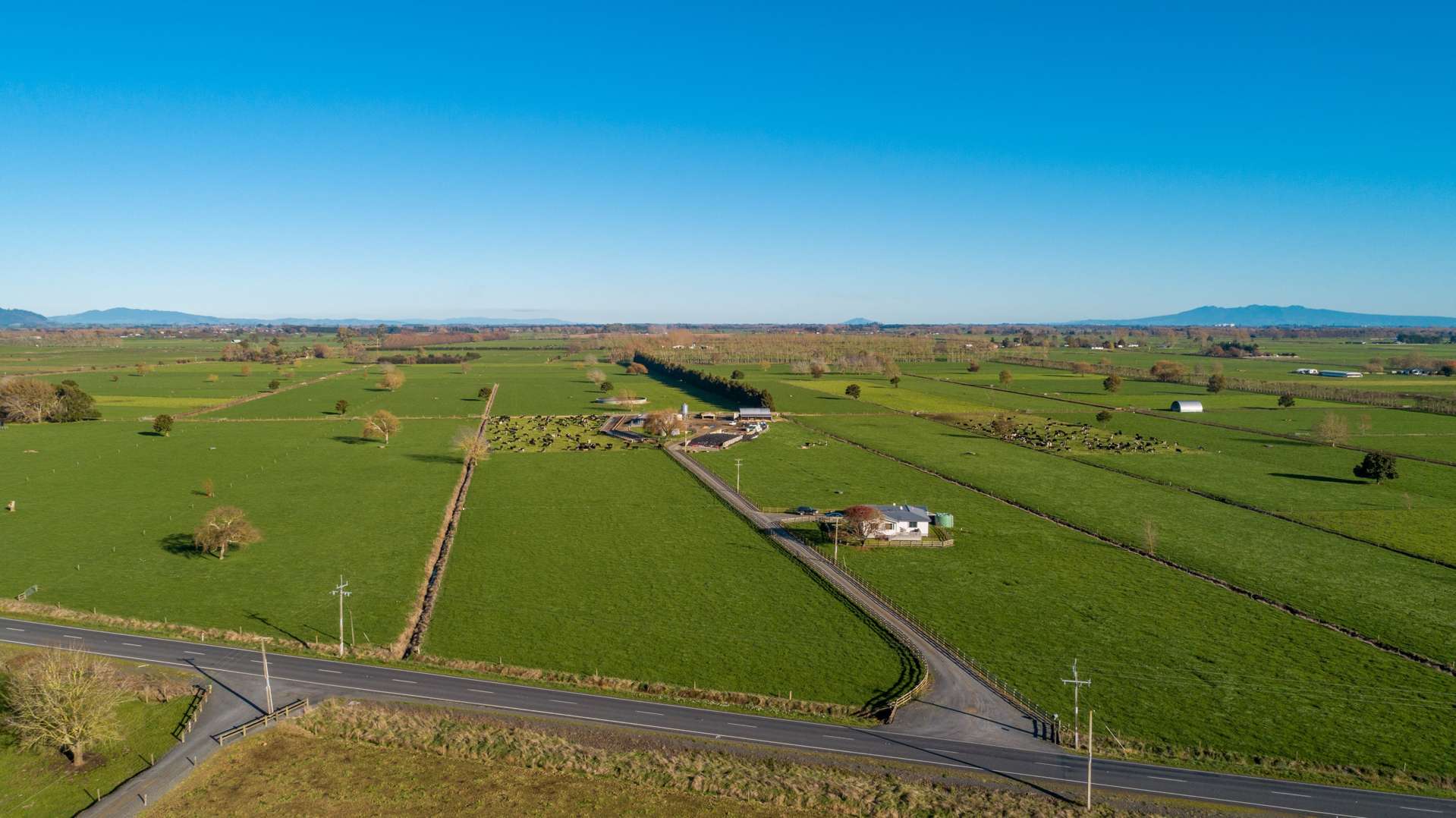 768 Piako Road Gordonton_0