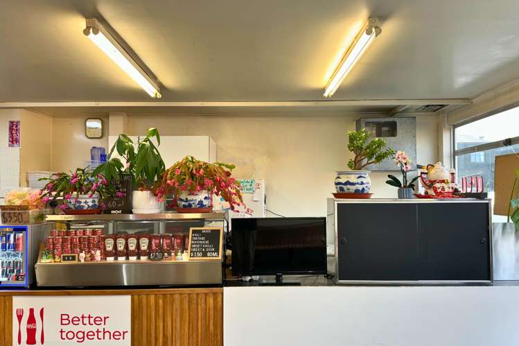 660 Great King Street North Dunedin_5