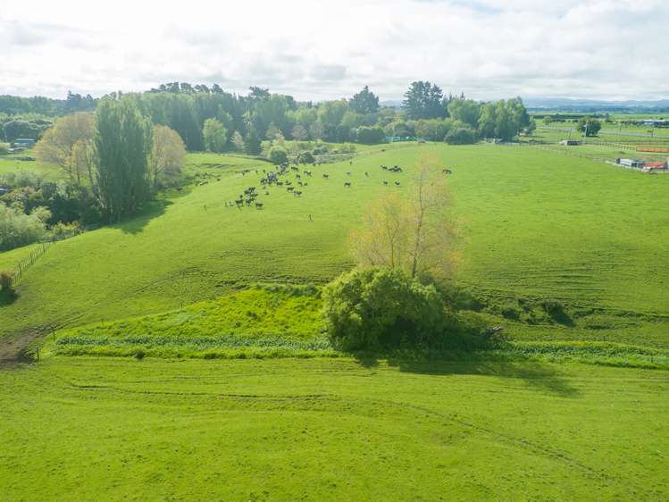 219 State Highway 3 Westmere_10