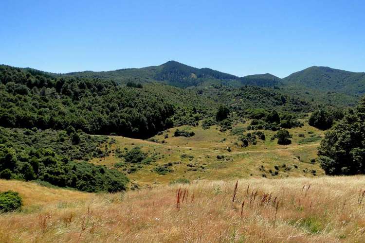 135 Canaan Road Kahurangi National Park_21