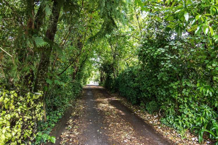 19b Titoki Street Masterton_10