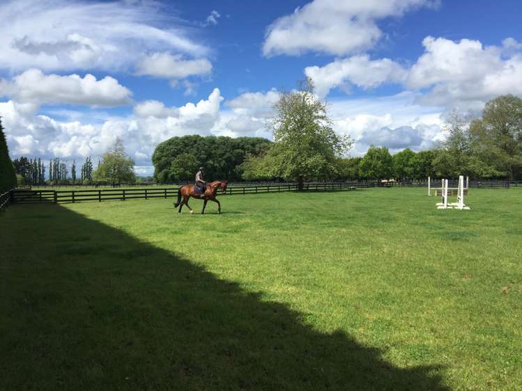 598 Marychurch Road Matangi_4