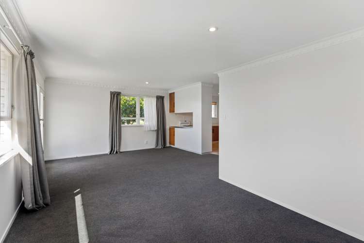 1/4 Linklater Avenue Bellevue_8