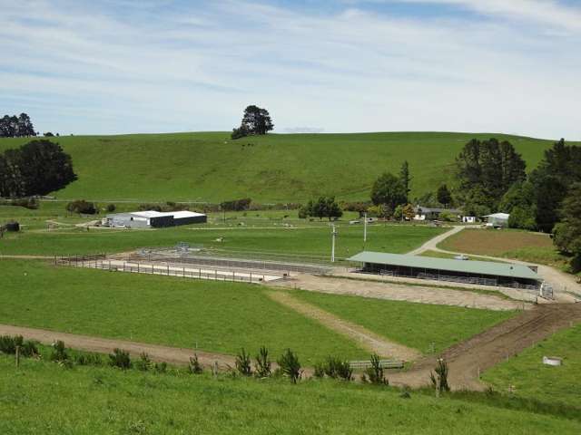 354 Manawatu River Road Norsewood_1