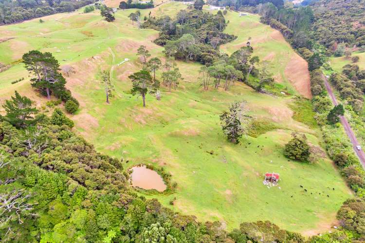 170 Gatfield Road Kaukapakapa_28