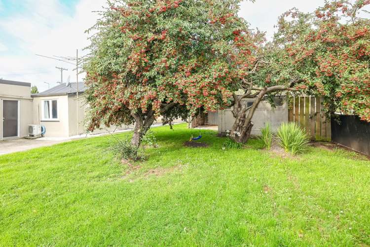 147 Ronaldsay  Street Palmerston_11