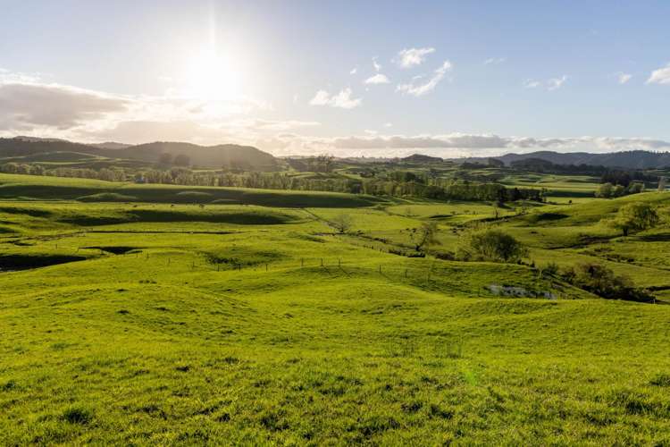 108 Range Road Kawakawa_9