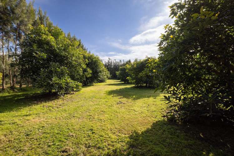 55 Pine Ridge Lane Aongatete_26