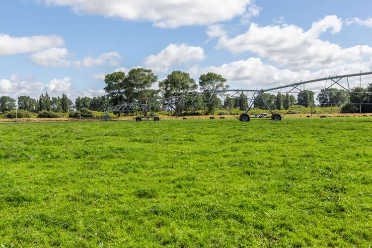 589 Coutts Island Road Coutts Island_29