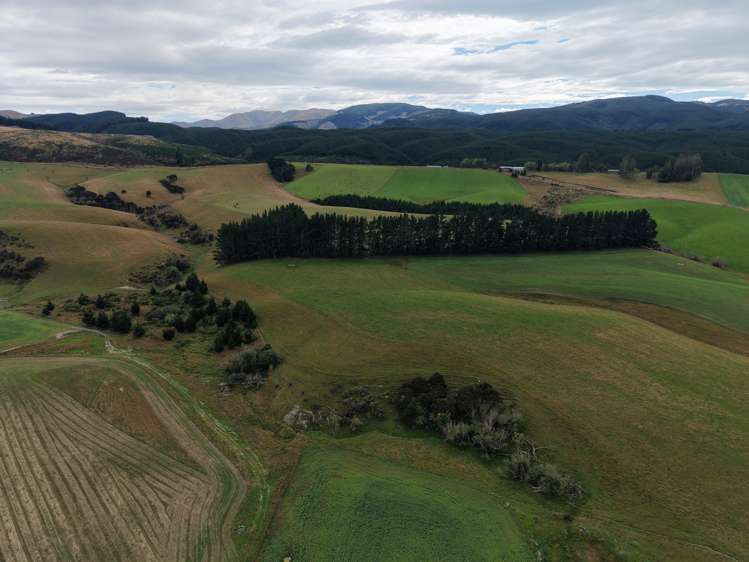 158 Kowhatu Road Waimate_7