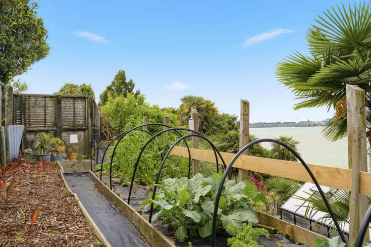 24 Anchorage Grove Maungatapu_57