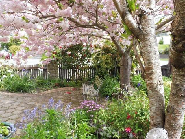 6 Seaview Crescent Picton_1