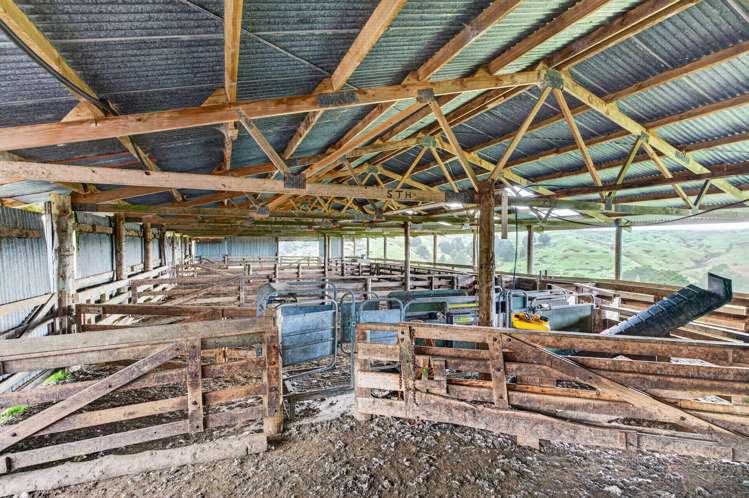 80 Harrison Road Waiotira_16