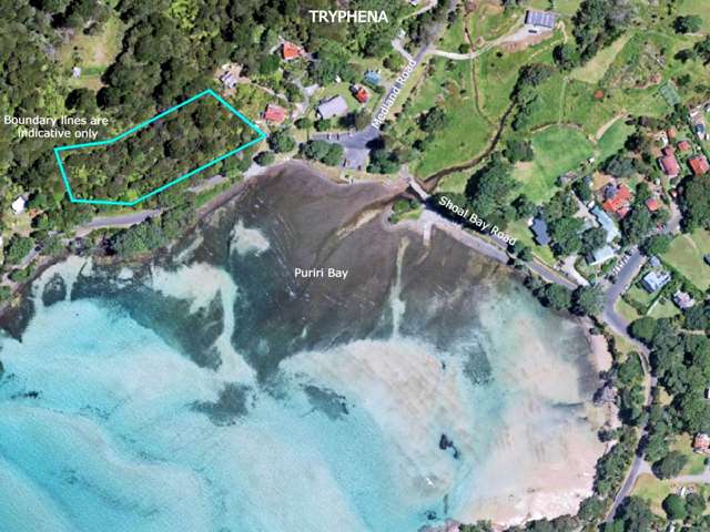 Lot 1 DP 6 Puriri Bay Road Great Barrier Island_4