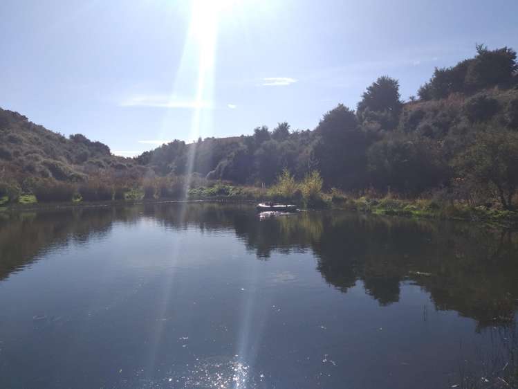 41 Totara Place Queensberry_21