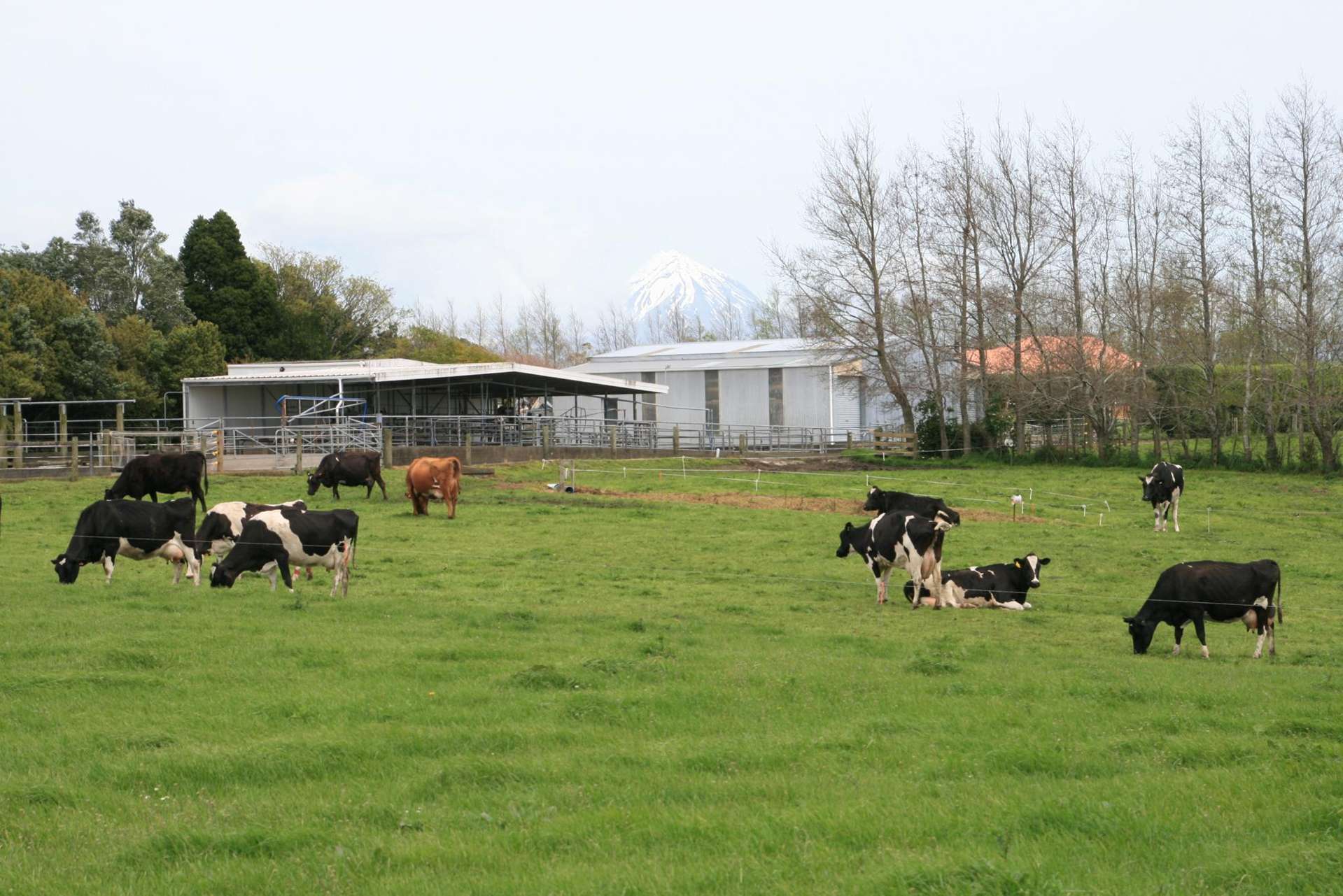 627 Inland North Road Onaero_0