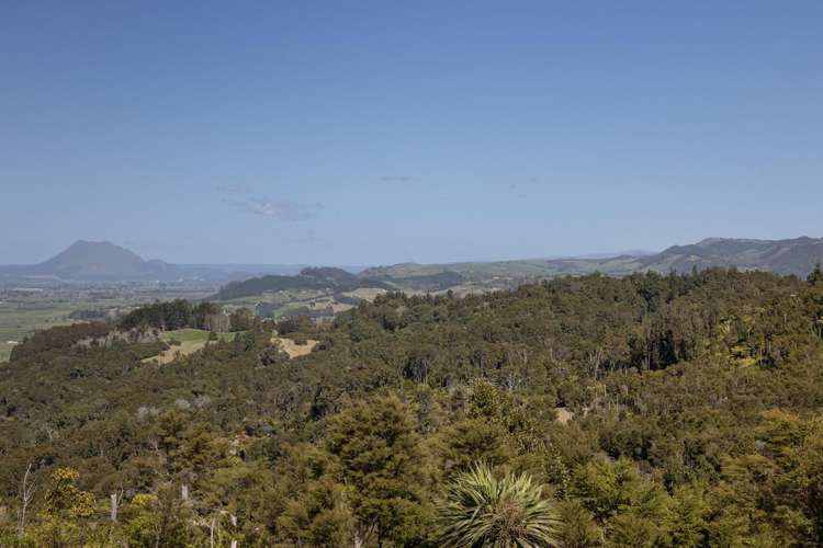 201 Kokako Heights Matata_15