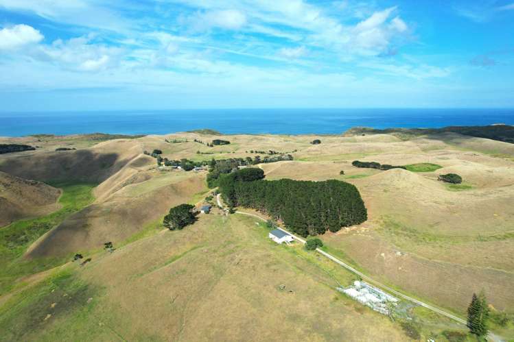 1415 Babylon Coast Road Dargaville_15