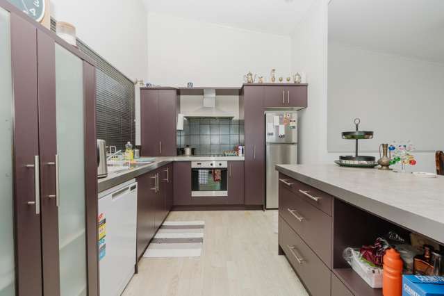 44A Willoughby Street Whitiora_3