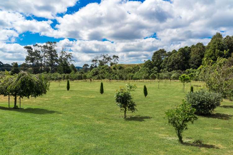 135 Dunn Road Ararimu_17