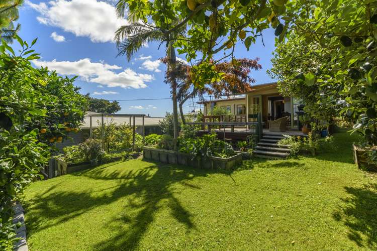 15a Hilltop Road Parkvale_6