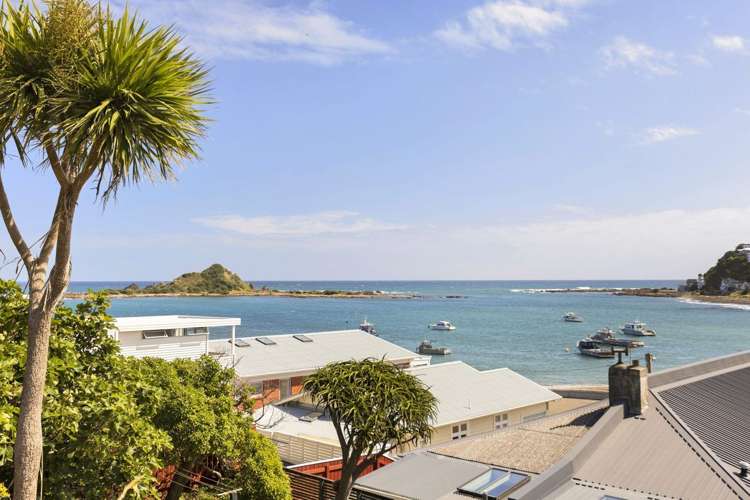 2/238 The Esplanade Island Bay_10