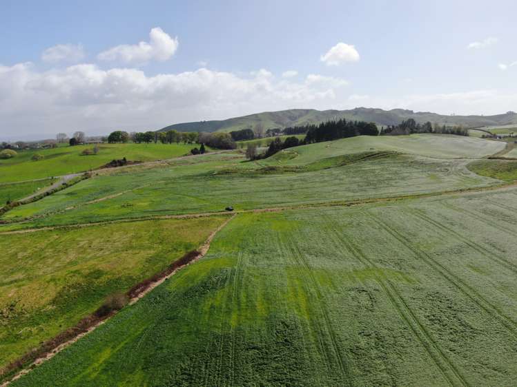 1375 State Highway 3 Otorohanga_18